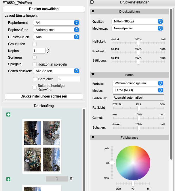 Screenshot Druckeinstellungen